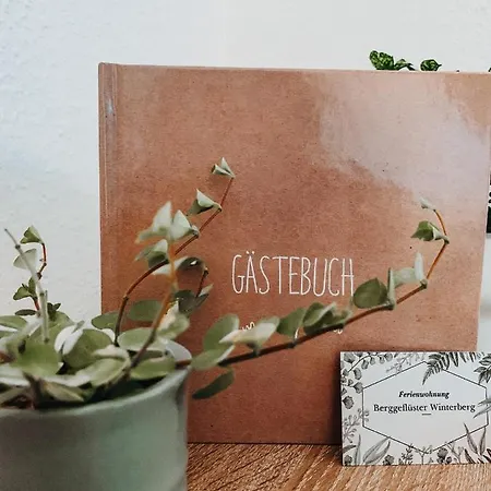 Berggefluester Winterberg- Im Herzen Winterbergs Apartmán Winterberg