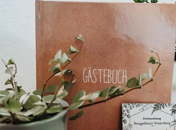 Berggefluester Winterberg- Im Herzen Winterbergs 公寓 温特贝格